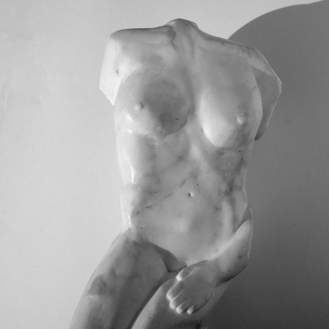 Torso