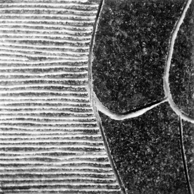 Torso