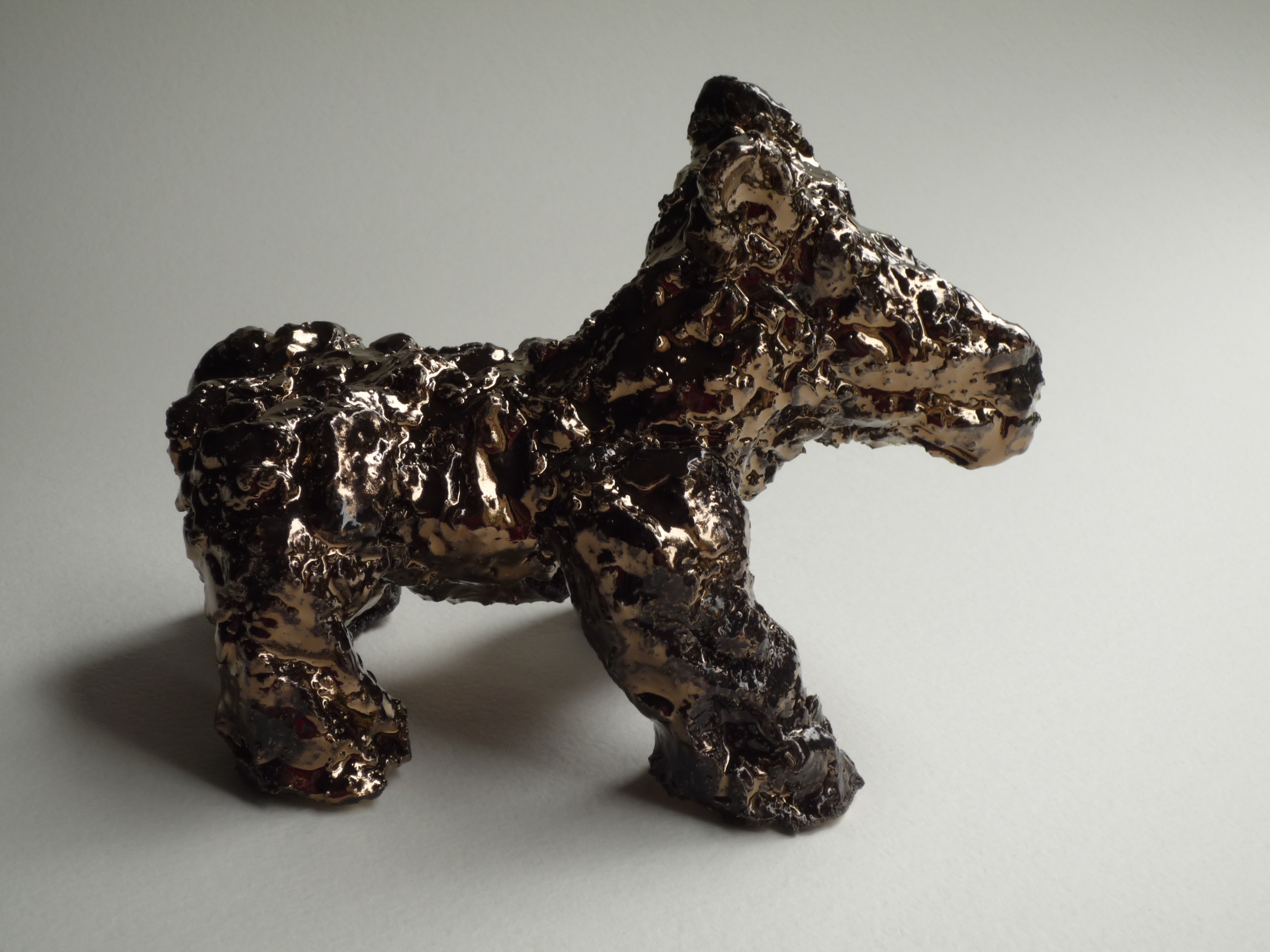 Rijke hond