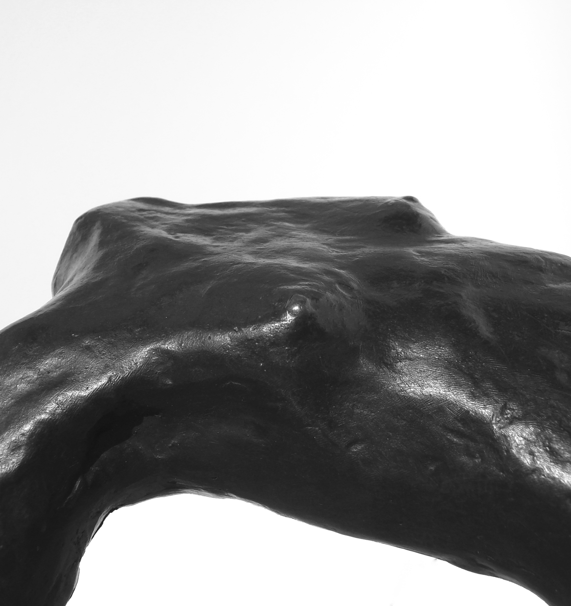 Torso