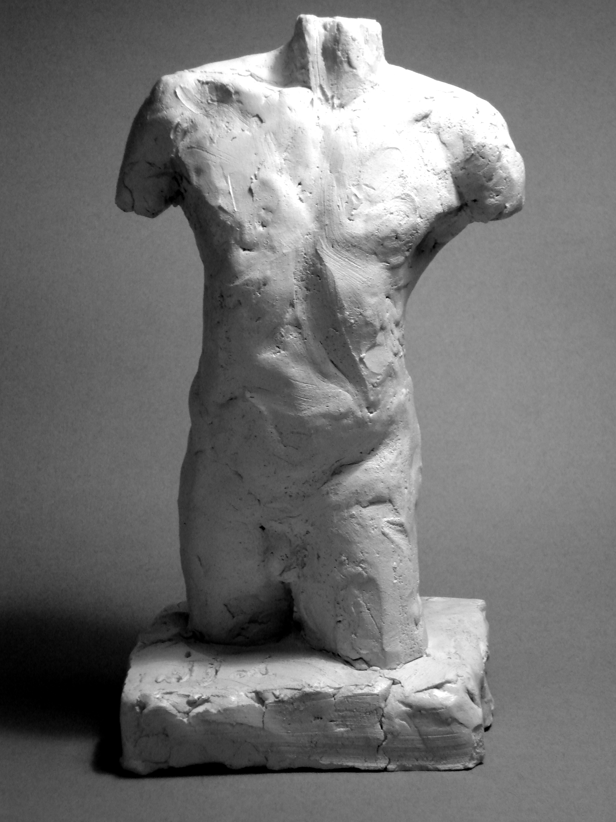 Torso
