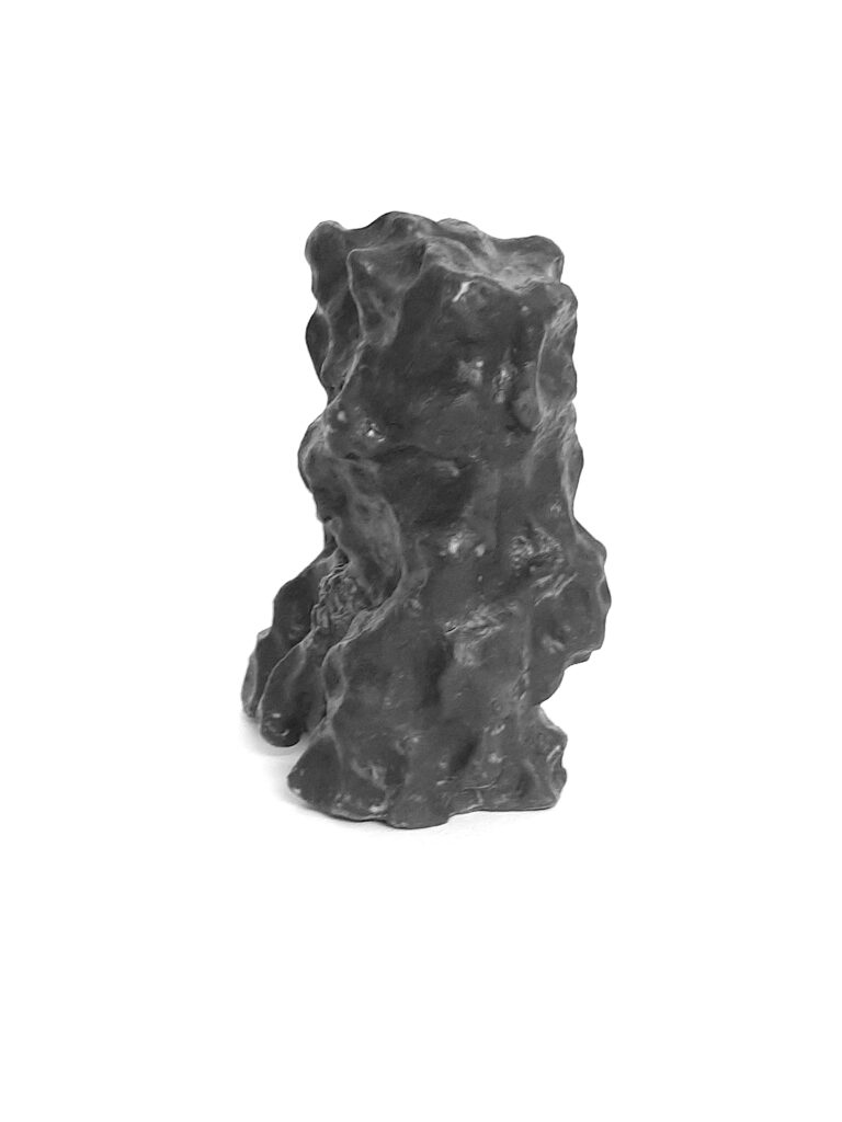 Torso