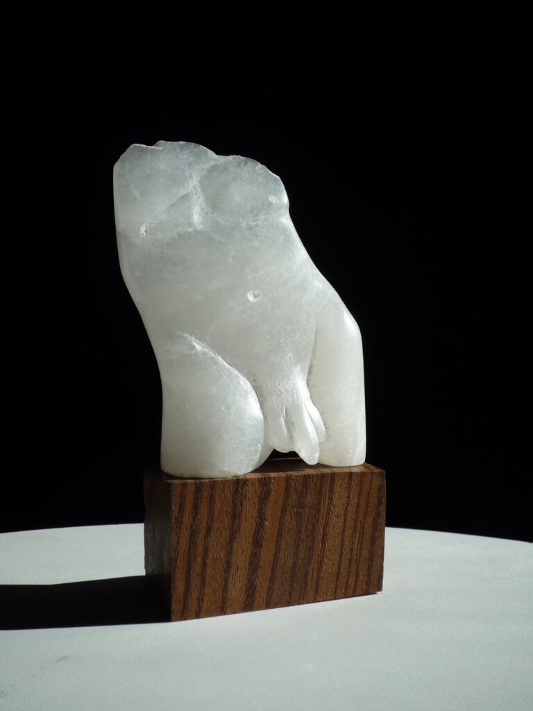 Kleine torso