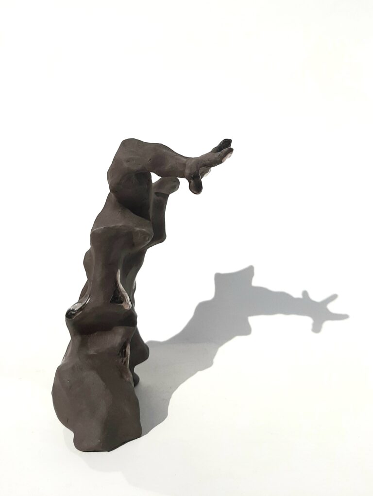 Torso (1 arm, 4 vingers)
